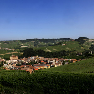 Panoramica di Barolo