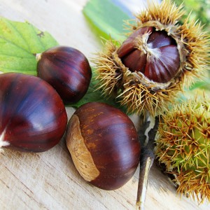 castagne