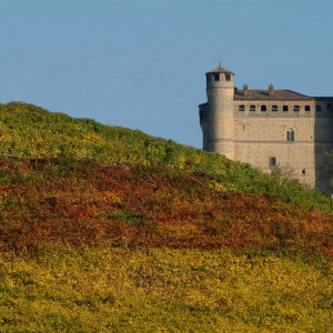 castello di Serralunga d'Alba