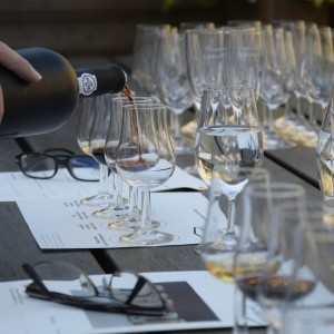 wine-tasting-1324261_1920