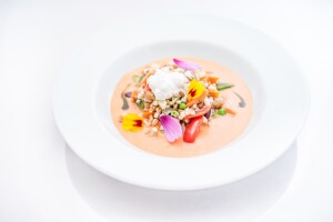 piatto_vegetariano_-_002[1]