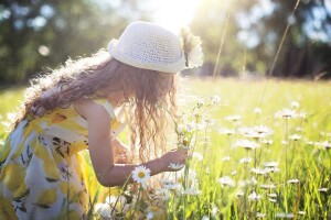 picking-flowers-2432972_1920