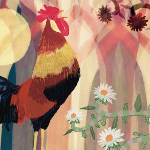 Gallo (1)
