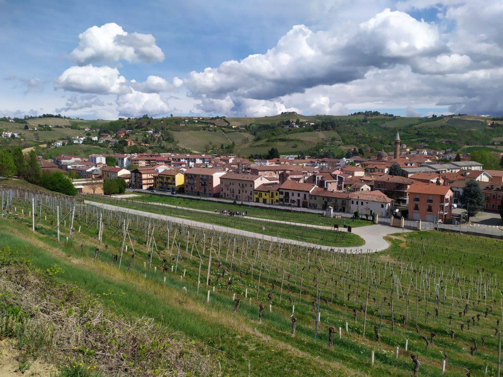 Picnic in vigna (6)