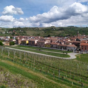 Picnic in vigna (6)