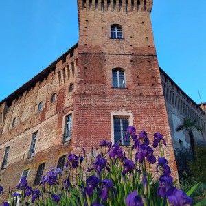 Progetto senza titolo