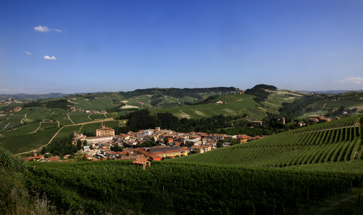 Panoramica di Barolo