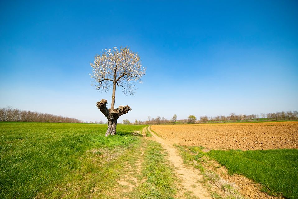 Immagine tratta dal sito: Stefano Cantù Foto