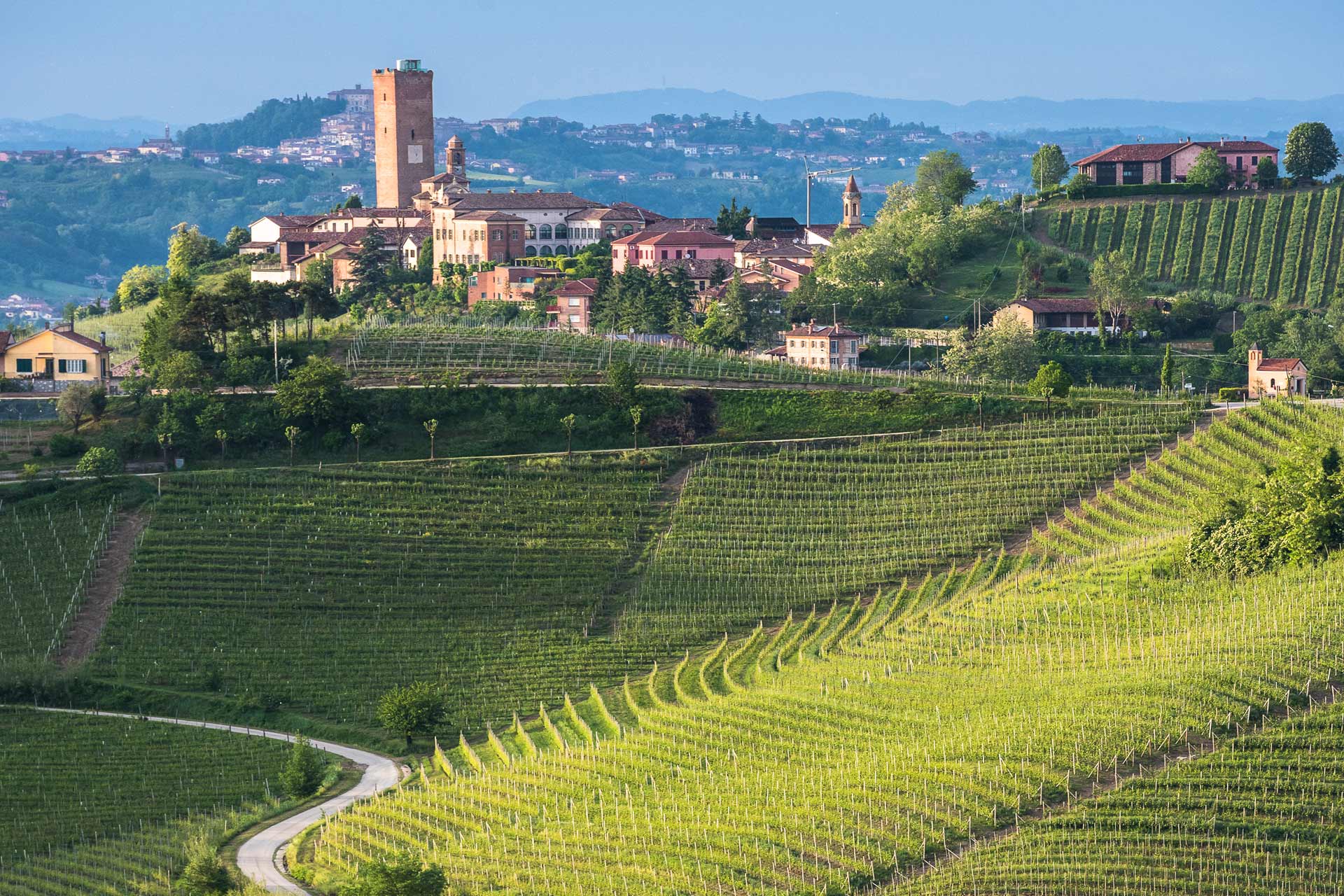 barbaresco-langhe